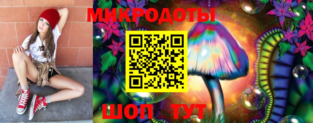Камышин  Галлюциногенные грибы Cubensis  Псилоцибиновые грибы прущие грибы  Вход с VPN 